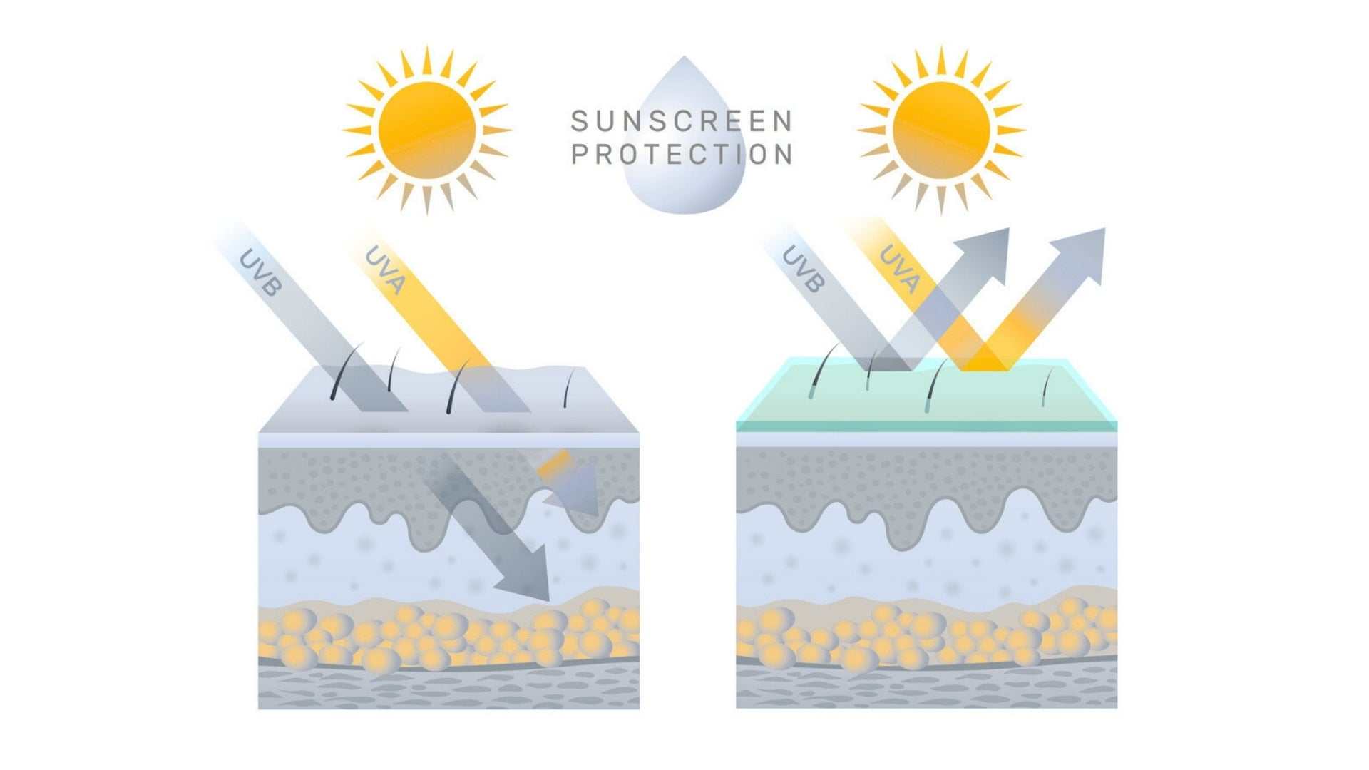 Diagram showing how sunscreen protection blocks UVA and UVB rays from penetrating the skin layers to prevent skin damage.