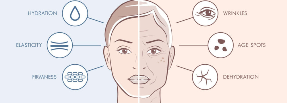 Natural Remedies to Revitalize Dull Skin infographic showing face with hydration, elasticity, firmness, wrinkles, age spots, dehydration icons