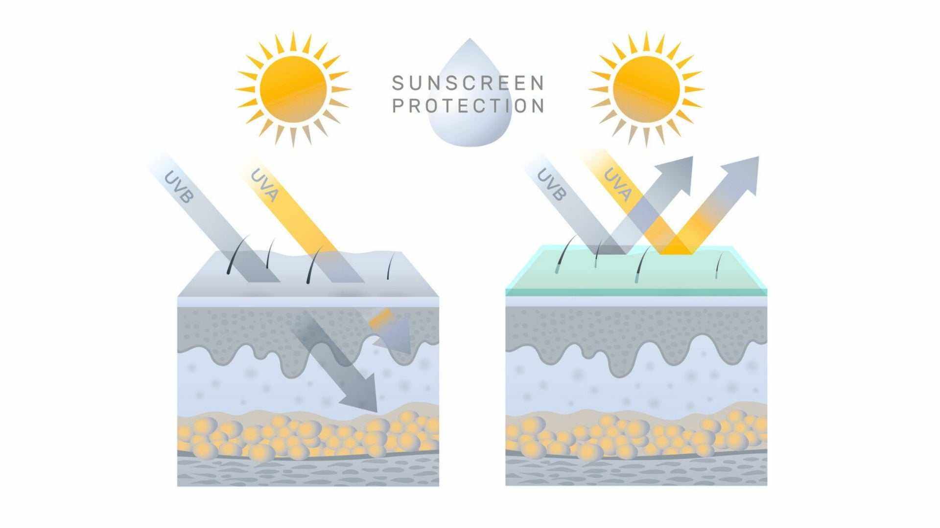 Understanding UVA Rays and Your Skin: Why SPF is Year-Round.
